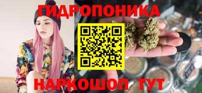 прущие грибы Бийск